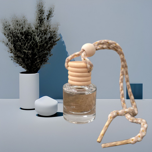 Car Reed Diffuser