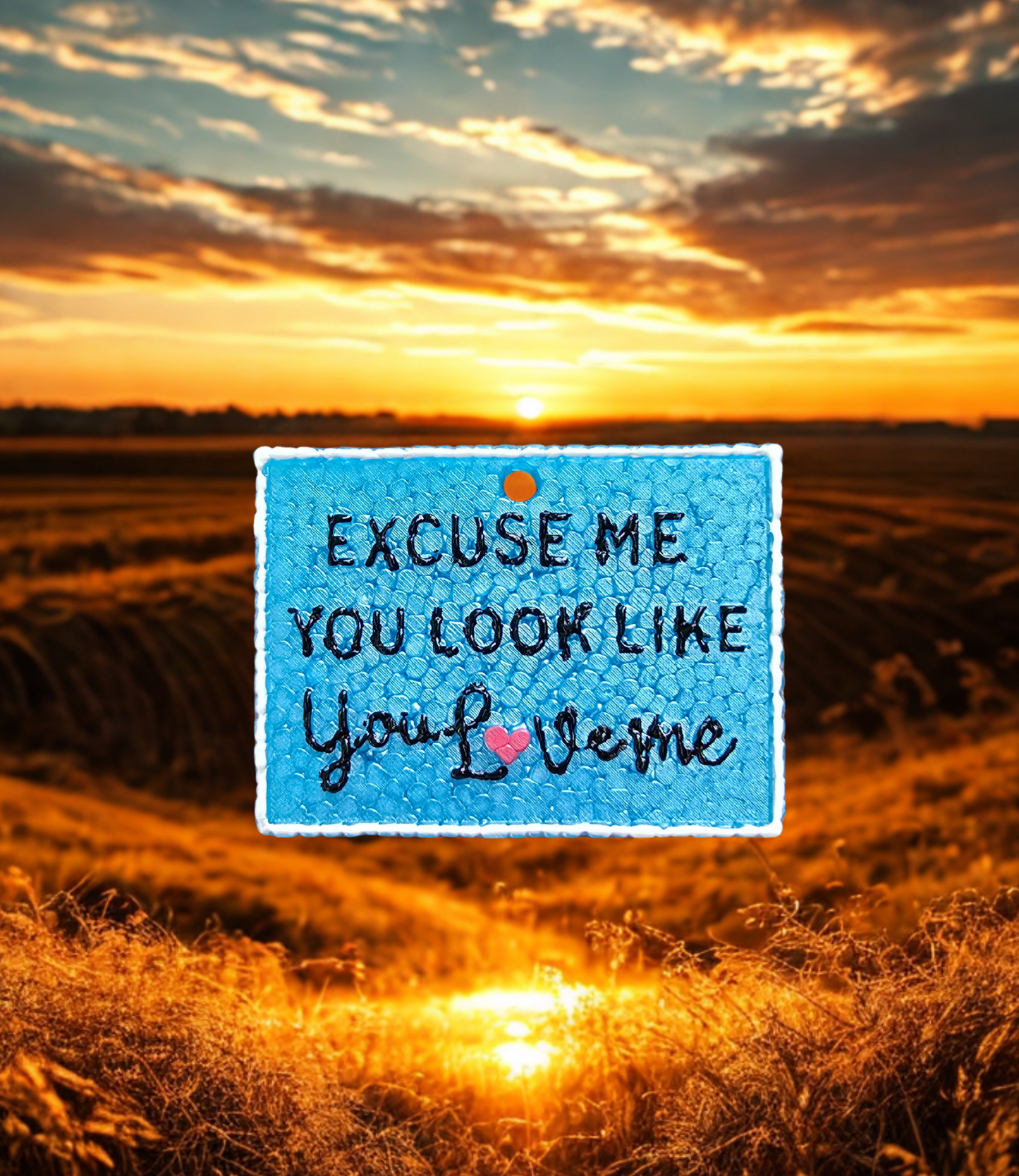 Excuse Me - JAMAICA ME CRAZY